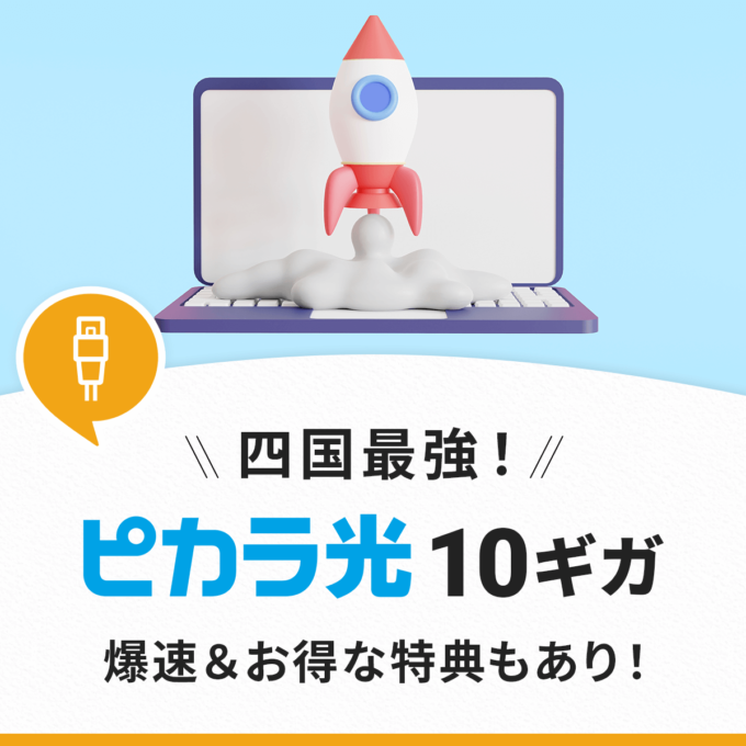 ピカラ光10Gとは